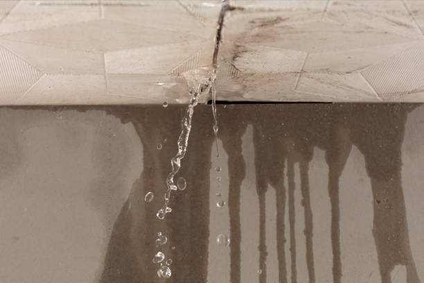 Professional Sewage Cleanup technician working in Little Rock, IA